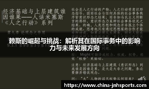 赖斯的崛起与挑战：解析其在国际事务中的影响力与未来发展方向